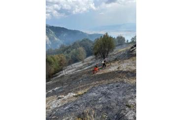 news 3965f8fc93d21a5a4323a3f826b197b5