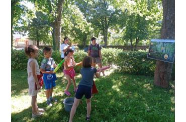 news c16530df56ed792e08c7a84cd6d7ca20