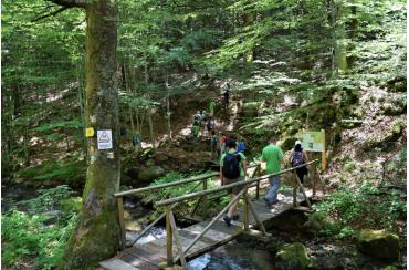 news c27f7fbf1123f6d9b46e9f318fc5d7c2